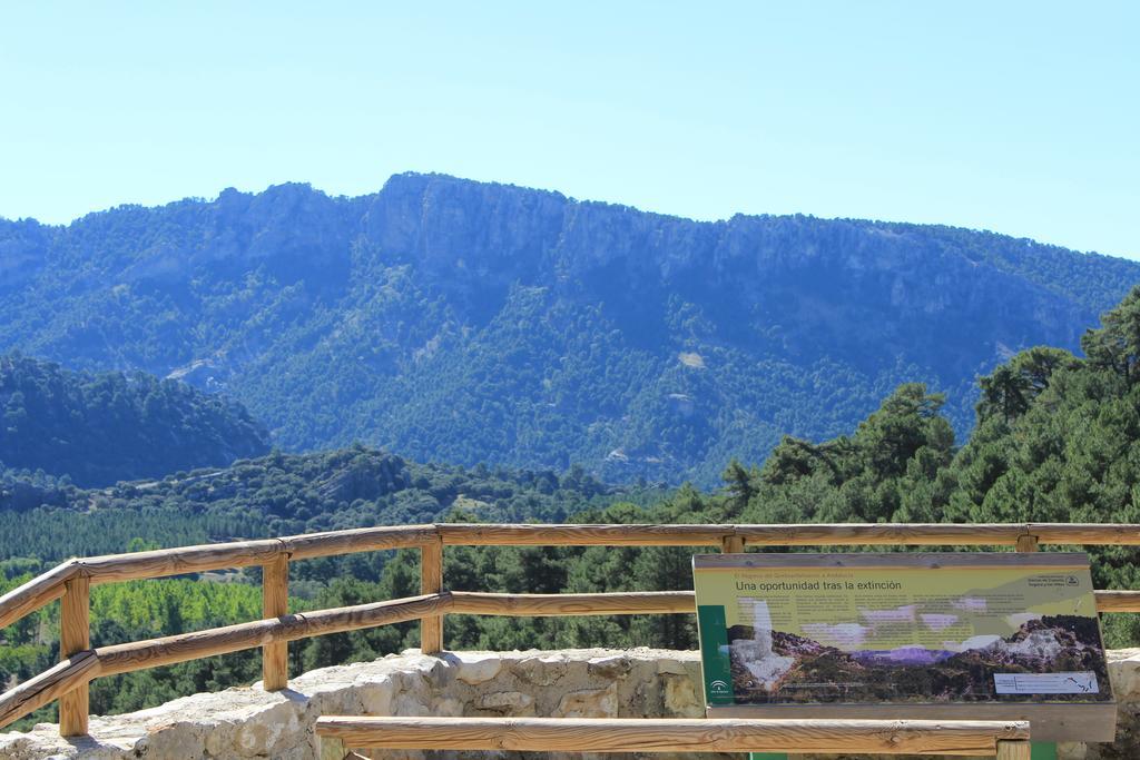Hotel Balneario Parque De Cazorla Arroyo Frio Eksteriør billede