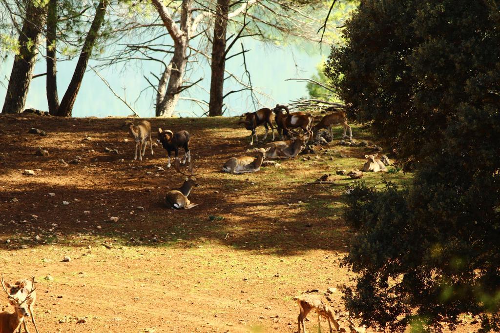 Hotel Balneario Parque De Cazorla Arroyo Frio Eksteriør billede