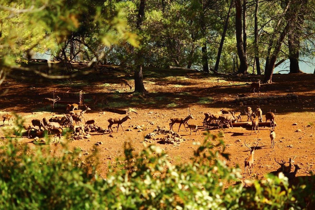 Hotel Balneario Parque De Cazorla Arroyo Frio Eksteriør billede