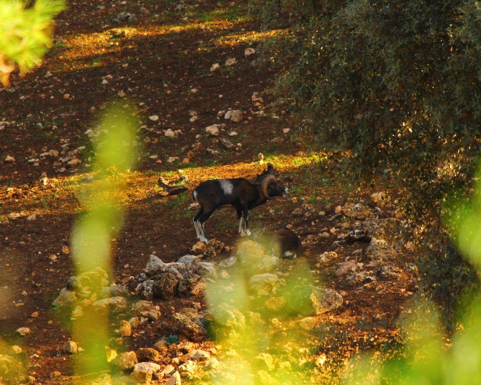 Hotel Balneario Parque De Cazorla Arroyo Frio Eksteriør billede